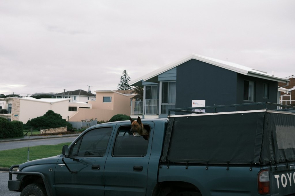 Ute parked in a residential driveway